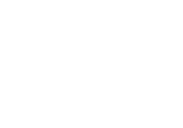 bnrhalf_business_off
